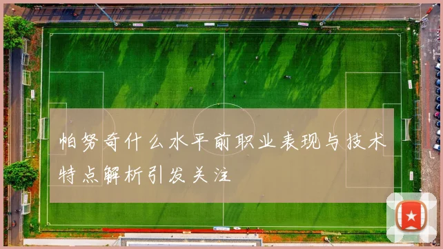 帕努奇什么水平前职业表现与技术特点解析引发关注