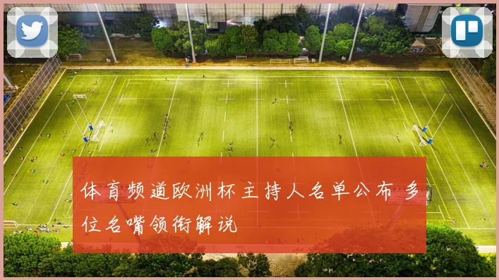 体育频道欧洲杯主持人名单公布 多位名嘴领衔解说
