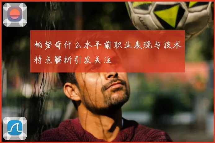 帕努奇什么水平前职业表现与技术特点解析引发关注